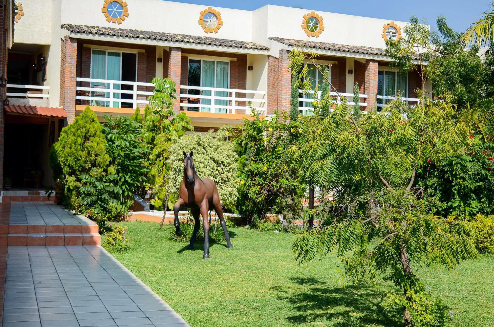 Hotel Quinta La Estampida Xochitepec Exteriér fotografie